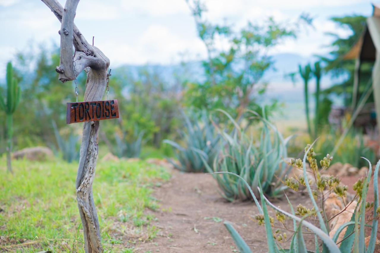 Kidepo Savannah Lodge By Nature Lodges Ltd Loitanit Luaran gambar